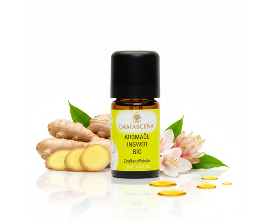 Ingwer BIO Aromaöl – Würzige Wärme & exotischer Genuss in jedem Tropfen
myaloe.ch

Das Ingwer BIO Aromaöl ist dein natürlicher Geschmacksverstärker, wenn du Speisen und Getränken eine angenehme, frische Schärfe verleihen möchtest – ohne Aufwand, ohne Schälen, ohne Stückchen.
Unser 100% naturreines Bio-Aromaöl aus Sri Lanka veredelt asiatische Gerichte, Desserts, Schokolade, Smoothies, Currys, Dressings und Heissgetränke mit einem wunderbar aromatischen, warm-würzigen Geschmacksprofil.

Bereits 1–4 Tropfen reichen, um deine Kreationen kulinarisch aufzuwerten – sauber, präzise, vegan und intensiv, ganz ohne Zusatzstoffe.

Ingwer BIO Aromaöl schenkt Dir Wärme, Energie und exotische Lebensfreude – egal ob in Deiner Küche oder als wärmender Duftmoment. Ein Tropfen genügt, um neue Kraft zu wecken, Kreativität zu entfachen und Genuss in Deinen Alltag zu bringen.