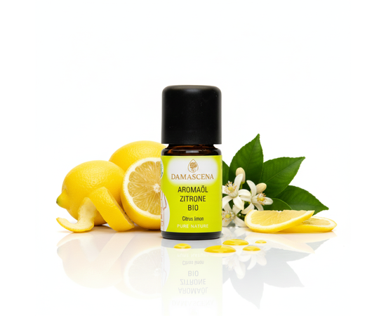 Zitrone BIO Aromaöl – Spritzige Klarheit & pure Frische in jedem Tropfen
myaloe.ch
Zitrone BIO Aromaöl ist der Inbegriff von Frische, Klarheit und natürlicher Leichtigkeit. Als hochwertige Alternative zur frischen Zitrone bringt dieses 100 % naturreine, biologisch gewonnene Aromaöl aus italienischen Zitronenschalen das volle, spritzige Zitrusaroma direkt in deine Küche – intensiv, sauber und präzise dosierbar.

Kein Auspressen, kein Reiben, kein Verderb: Ein Tropfen genügt, um Getränke, Salate, Desserts, Kuchen oder herzhafte Gerichte mit einer klaren, lebendigen Zitronennote zu veredeln. Das Aroma ist frisch, fruchtig und angenehm säuerlich – wie ein Sonnenstrahl, der deine Kreationen wachküsst.

Zitrone BIO Aromaöl steht für kulinarische Leichtigkeit, mentale Frische und einen Hauch mediterranes Lebensgefühl – Tag für Tag, Tropfen für Tropfen.