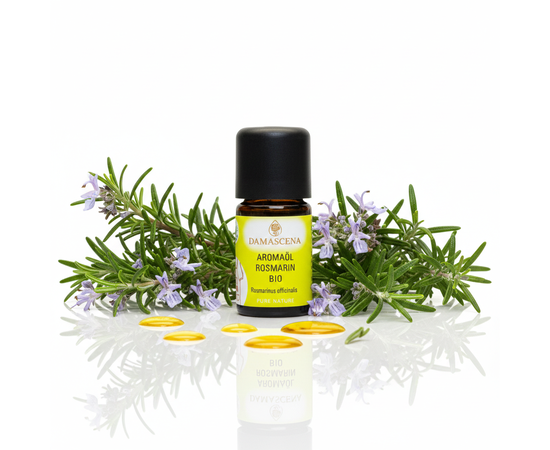 Rosmarin BIO Aromaöl – Belebend & würzig
myaloe.ch

Klar, würzig & belebend – mediterrane Kräuterkraft für Küche, Duft & Aromatherapie
Auf Wiedersehen getrockneter Rosmarin – willkommen intensiv-frisches Aroma.
Das Rosmarin BIO Aromaöl von myaloe.ch bringt die unverfälschte Kraft des frisch geschnittenen Rosmarinzweigs direkt in Ihre Küche und Duftwelt. Gewonnen aus Rosmarinus officinalis aus kontrolliert biologischem Anbau in Tunesien und schonend mittels Wasserdampfdestillation extrahiert, überzeugt dieses hochwertige Aromaöl durch seinen frisch-würzigen, krautig-herben Charakter.

Ob zum Verfeinern mediterraner Gerichte, für belebende Duftmischungen oder als klassisches Öl in der Aromatherapie – Rosmarin gilt seit Jahrhunderten als Symbol für Klarheit, Vitalität und geistige Wachheit. Bereits 1–2 Tropfen genügen, um Speisen Tiefe zu verleihen oder Räume mit Energie zu füllen.

✅ 4 Schlüsselvorteile von Rosmarin BIO Aromaöl
1. Authentisches Rosmarin-Aroma
Frisch, intensiv und würzig-herb – wie ein Rosmarinzweig direkt aus dem Kräutergarten.

2. Belebend & konzentrationsfördernd
Wirkt aktivierend auf Geist und Sinne – ideal bei Müdigkeit, mentaler Erschöpfung oder Konzentrationsphasen.

3. Vielseitig einsetzbar
Für Aromaküche, Diffuser, Duftmischungen und aromatherapeutische Anwendungen geeignet.

4. BIO-Qualität & Schweizer Handabfüllung
100 % naturrein, vegan, glutenfrei, tierversuchsfrei – sorgfältig in der Schweiz abgefüllt.