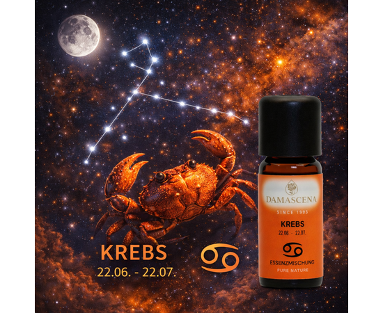 ♋️ Essenzmischung Sternzeichen - Krebs


♋️ Das Sternzeichen Krebs: 21. Juni bis 22. Juli (Liebevoll, hilfsbereit, häuslich)


Der Krebs symbolisiert grosse Gefühle und häusliche Wärme. Er saugt schöne, seelische Erlebnisse auf wie ein Schwamm das Wasser.
«Mein Motto: Man sieht nur mit dem Herzen gut. Keines passt besser zu mir, zu meinem emotionalen und gefühlvollen Wesen. Mein Haus trage ich stehts auf dem Rücken»

Krebse sind sehr familienbezogene Menschen, und umgeben sich gerne mit den Menschen die sie lieben. Sie schaffen eine häuslich warme Atmosphäre und verlassen sich viel mehr auf ihre Intuition als auf ihr rationales Denken. Das symbolische Haus auf dem Rücken beschreibt den Krebs sehr gut, er mag alles was ihm lieb und teuer ist nahe bei sich und sucht Geborgenheit. 

Der Krebst steht im Zeichen Wasser und verkörpert den Ausgleich zwischen Erde und Luft. Mit ihrer ruhigen Art vermögen sie vielleicht keinen sofortigen Unterschied auszulösen, doch mit der Zeit suchen sie sich ihren Weg, wie das Wasser durch festes Gestein. In seiner Verletzlichkeit kann der Krebs sich oft als Opfer sehen und alle anderen als Täter. Das kann es schwierig gestalten mit ihm auszukommen, denn dadurch kann er launisch und nachtragend sein.



♋️Sternzeichen Krebs - Ätherisches Öl für eine häusliche warme Atmosphäre
✅  Essenzmischung aus 100% naturreinen ätherischen Ölen von Orange, Bergamotte, Benzoe, Rose Absolue u.a.
✅  Liebevoll, hilfsbereit, häuslich
✅  Element: Wasser
✅  Planet: Mond
✅  Herstellung: Handabfüllung Schweiz
✅  Garantie für höchste Qualität

☑️  Für die Aromapflege und Raumbeduftung.

ℹ️ Inhalt: 10ml

✔️ Der typische Krebs ist liebevoll, bescheiden, fürsorglich, sensibel und hat tiefe Gefühle.